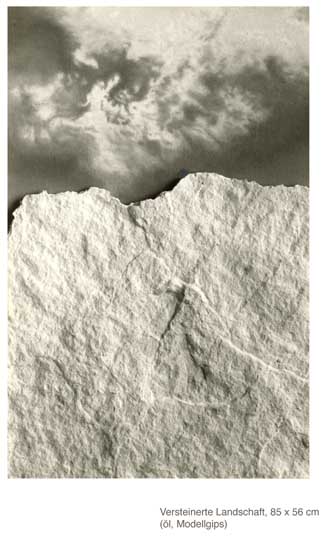 Versteinerte Landschaft 1