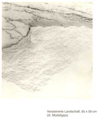 Versteinerte Landschaft 2