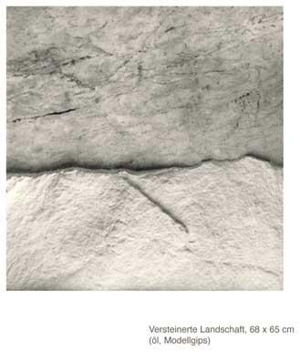 Versteinerte Landschaft 3